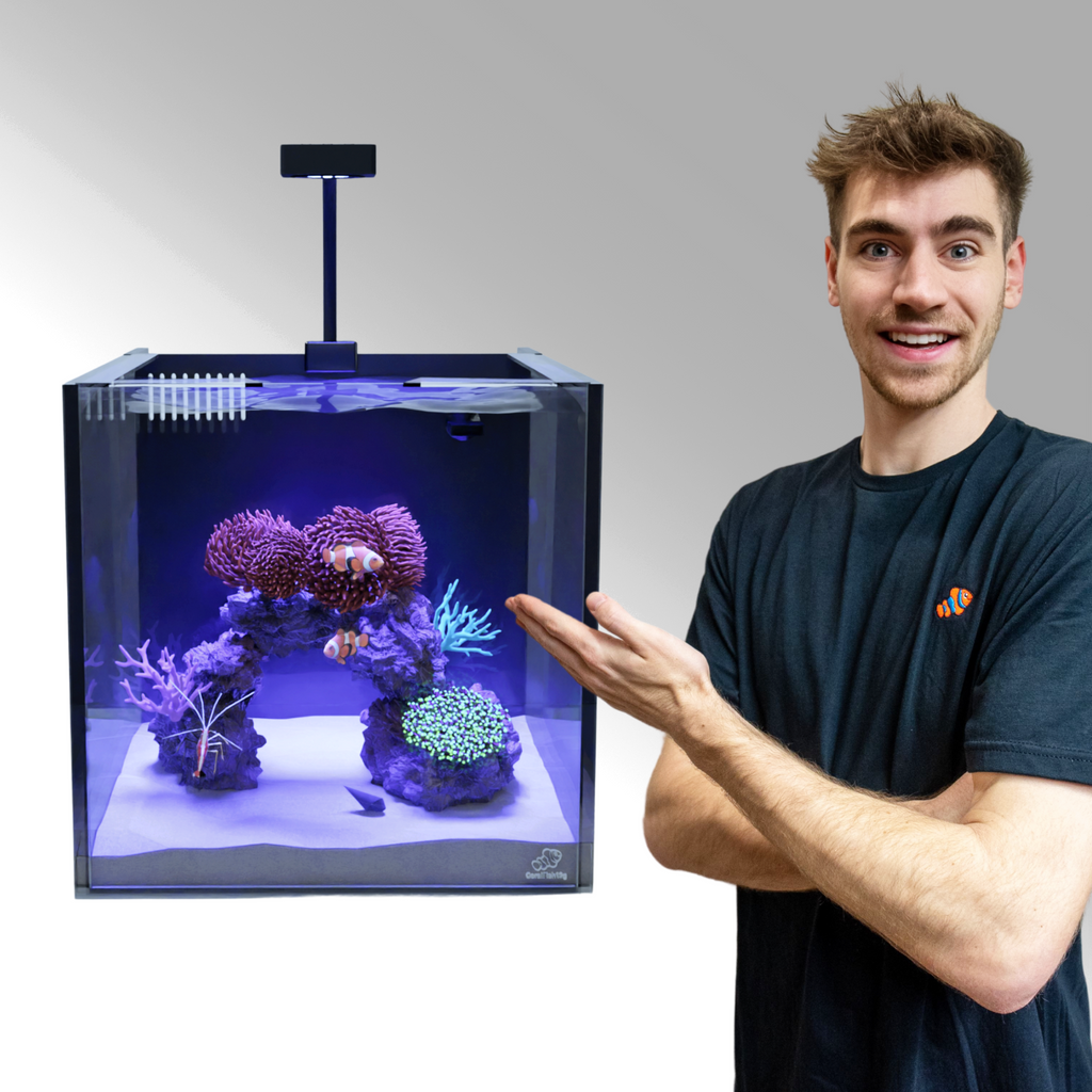 The #1 Best Nano Aquarium Kit For Saltwater & Freshwater